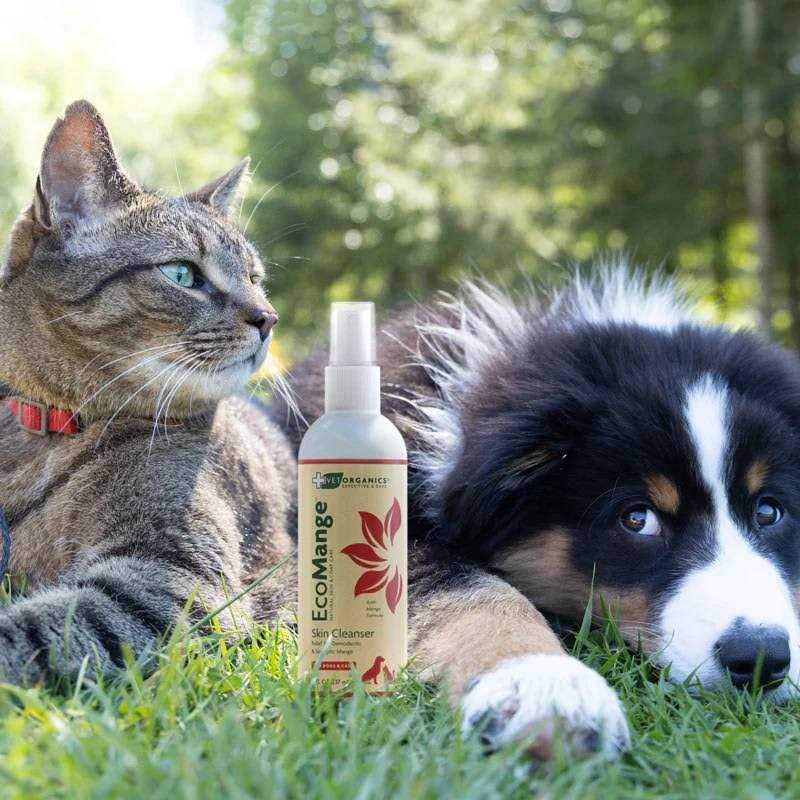 Dog & Cat Mange Skin Treatment Y153216