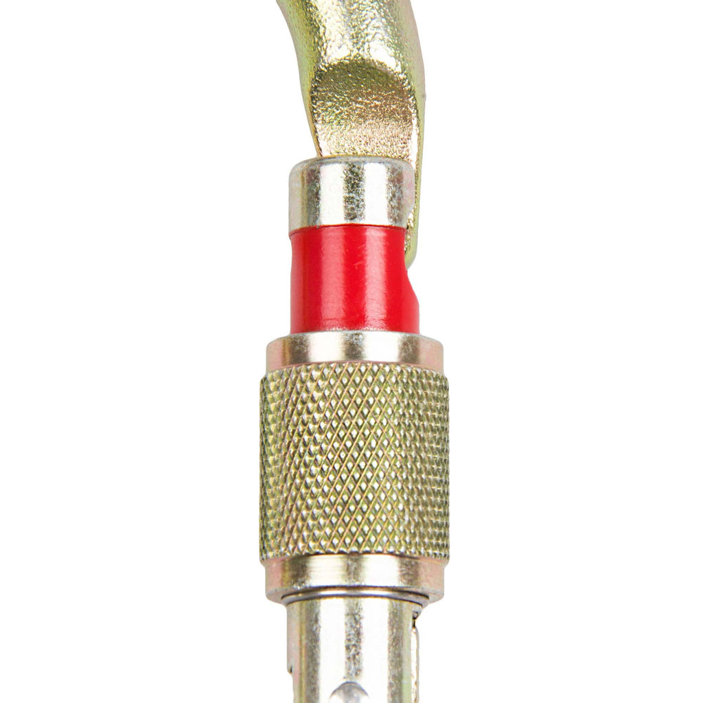 Screw Lock Carabiner Z2427