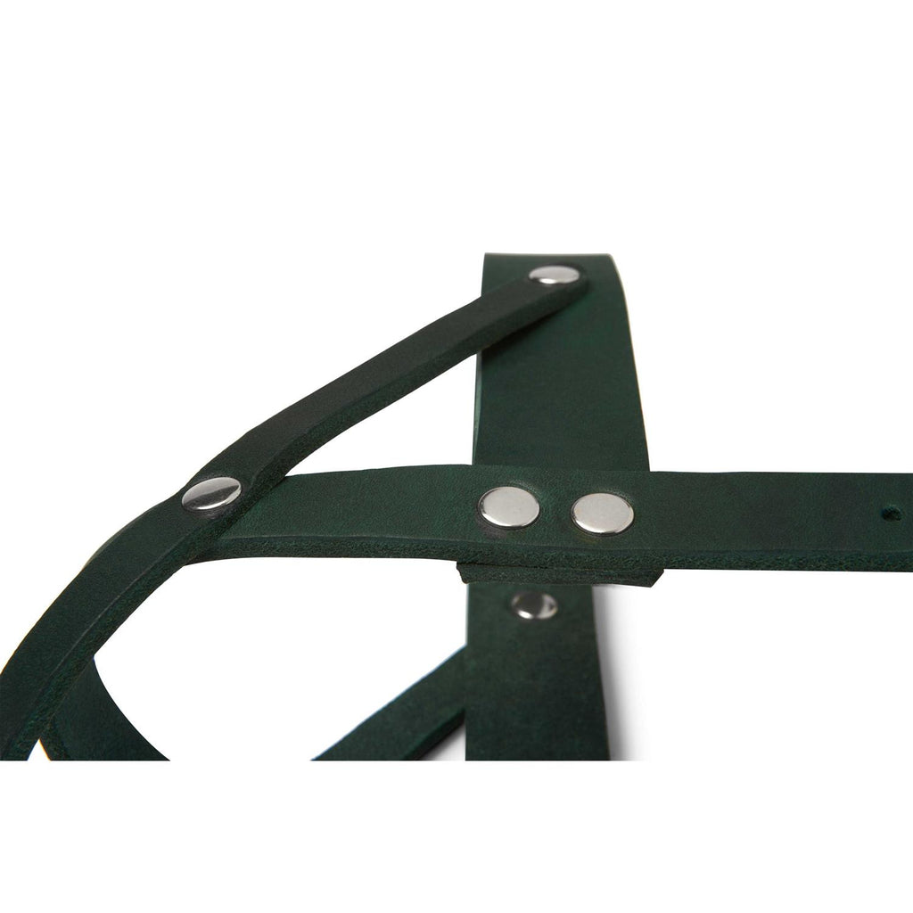 Leather Dog Harness P9725