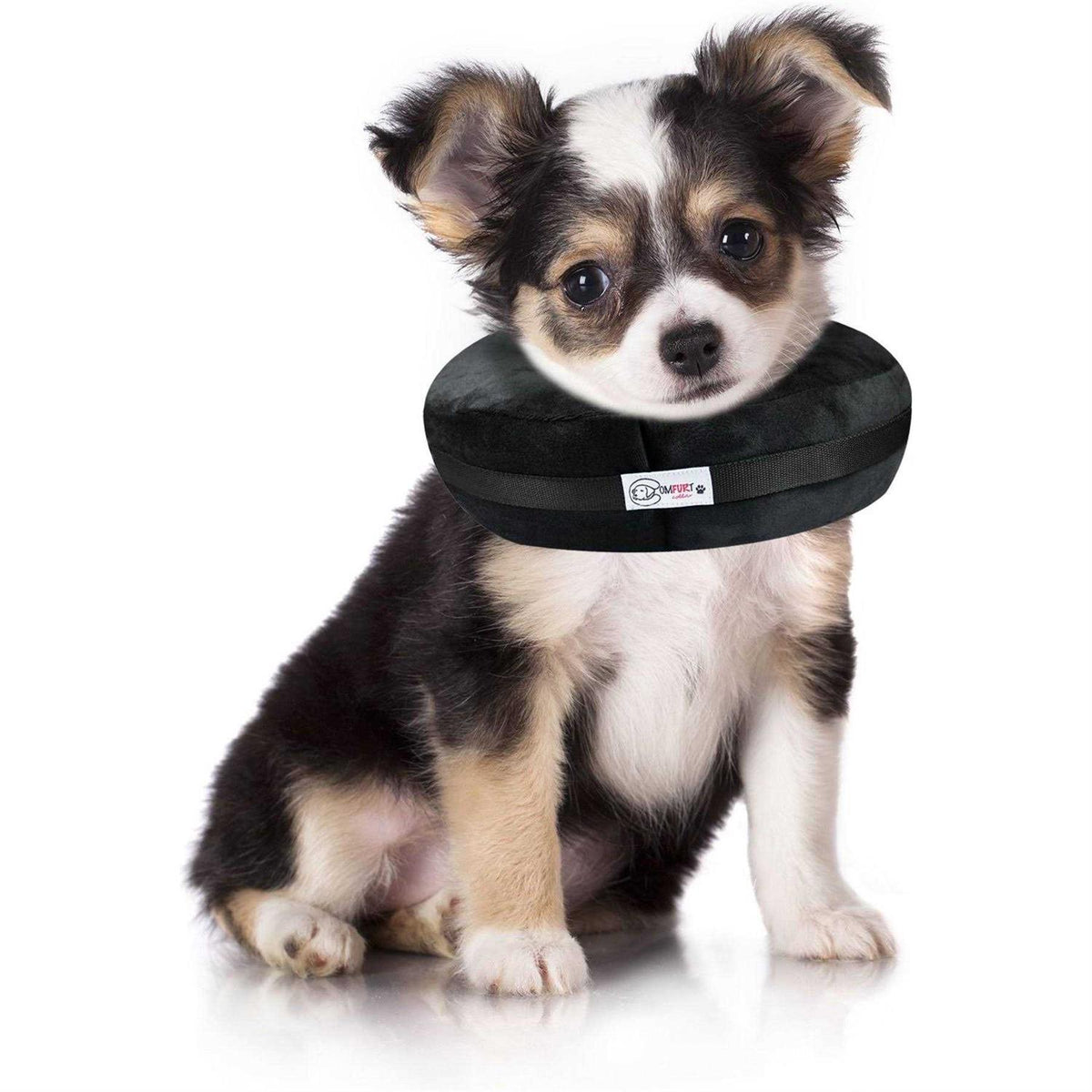 Dog & Cat Recovery Collar C275