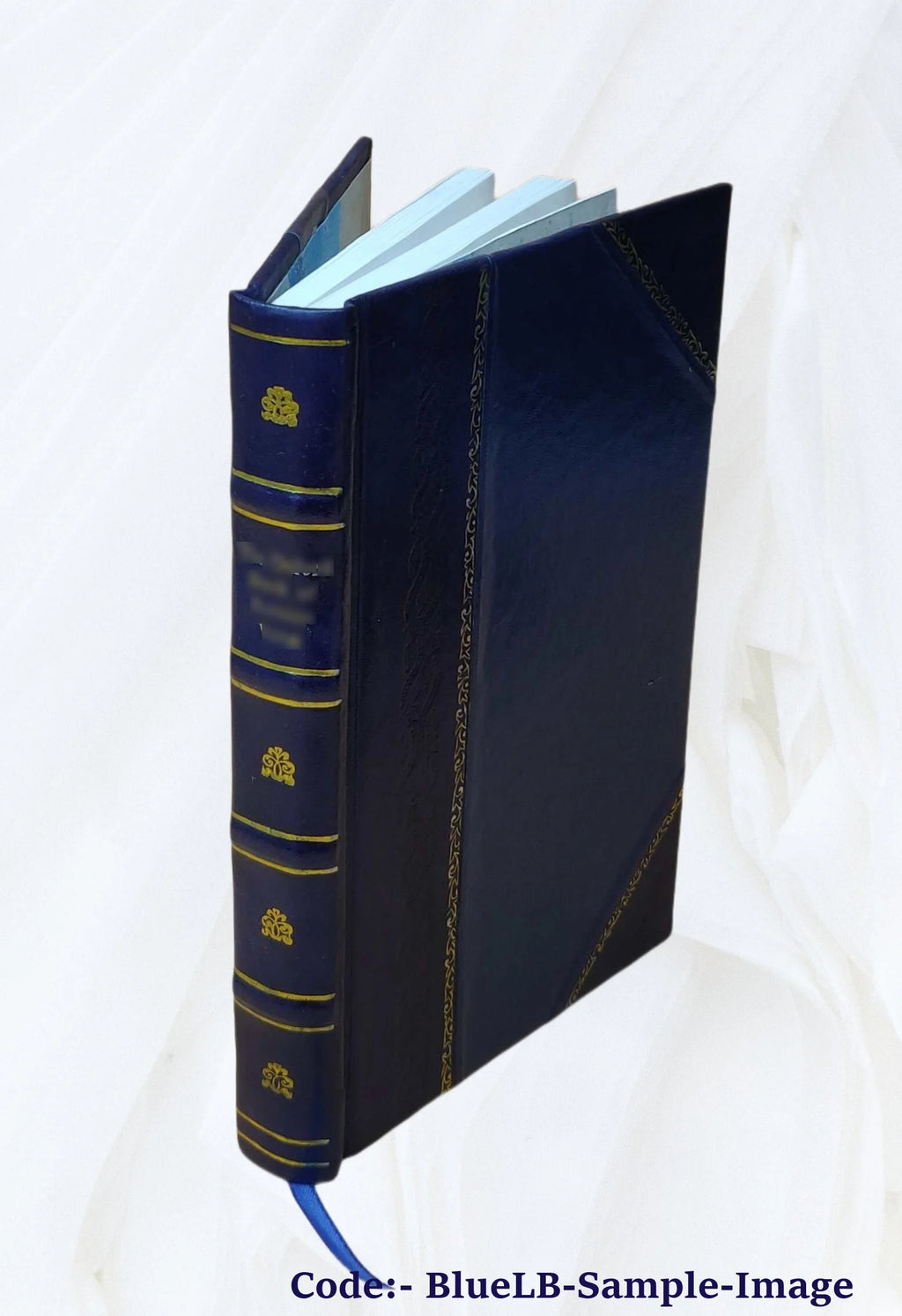 Leather Bound Book V652024
