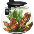 14 Gallon Polycarbonate Bowl-Shaped Aquarium J99989