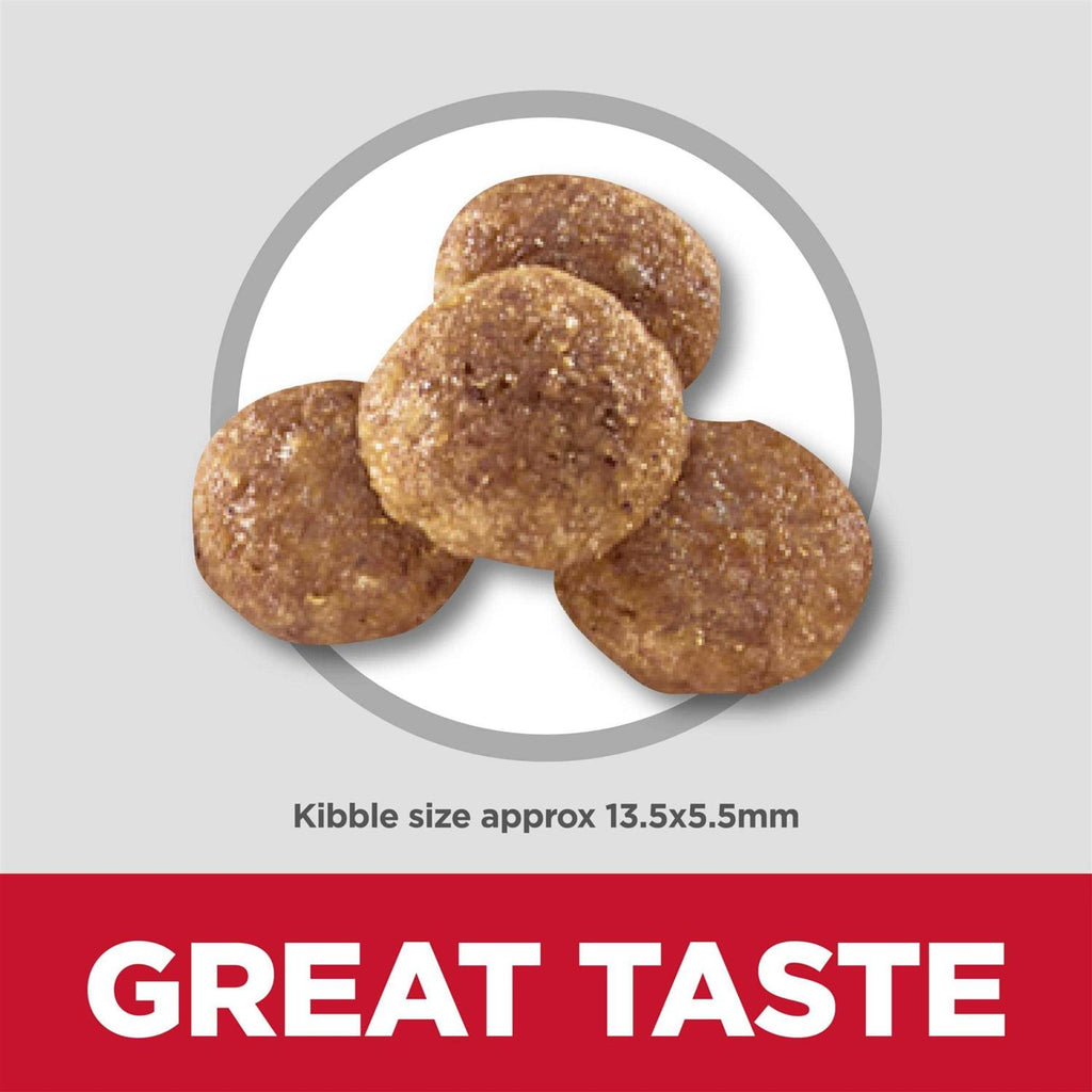 Dry Dog Food A3605