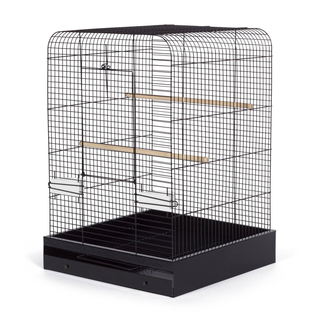 Black Bird Cage U331179