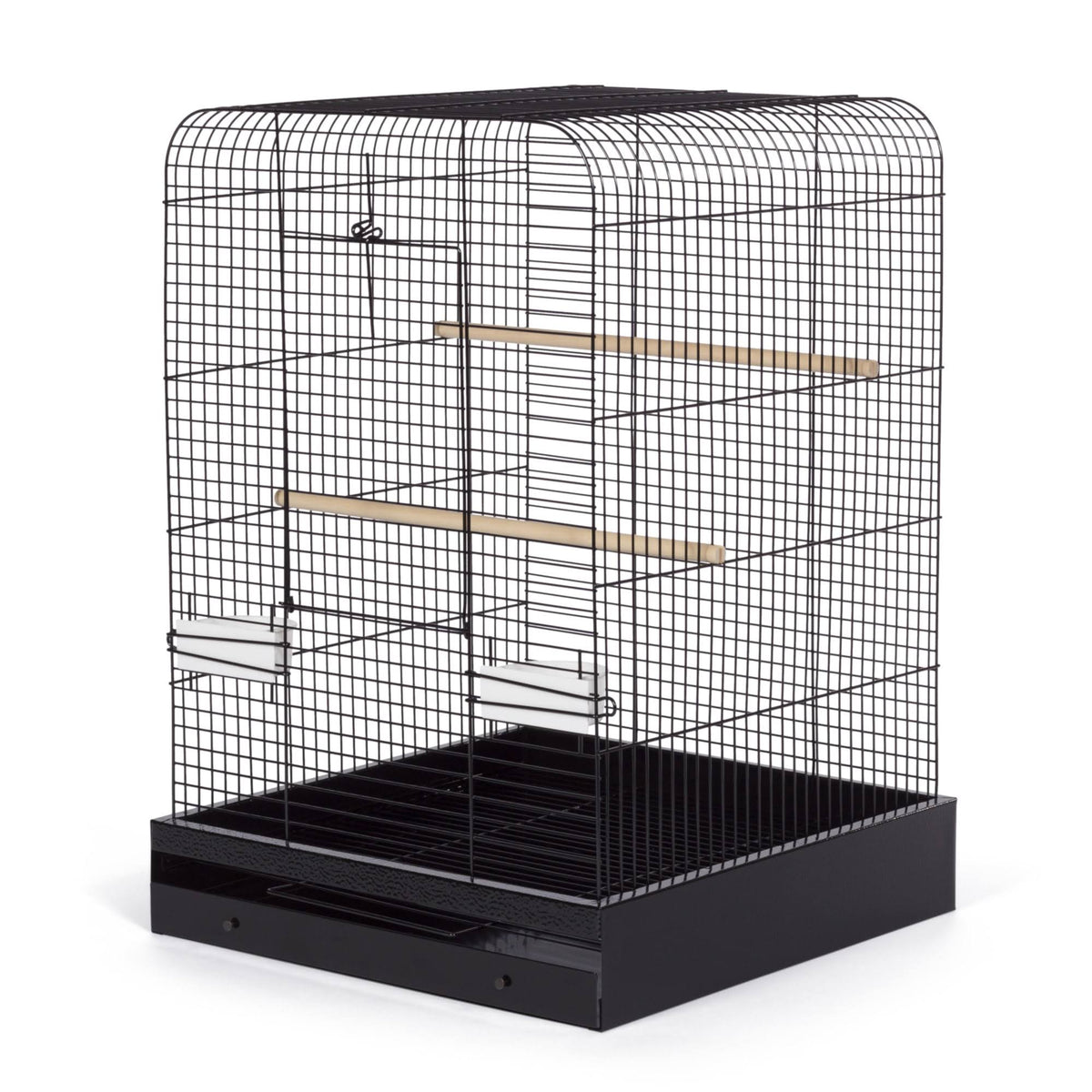 Black Bird Cage U331179