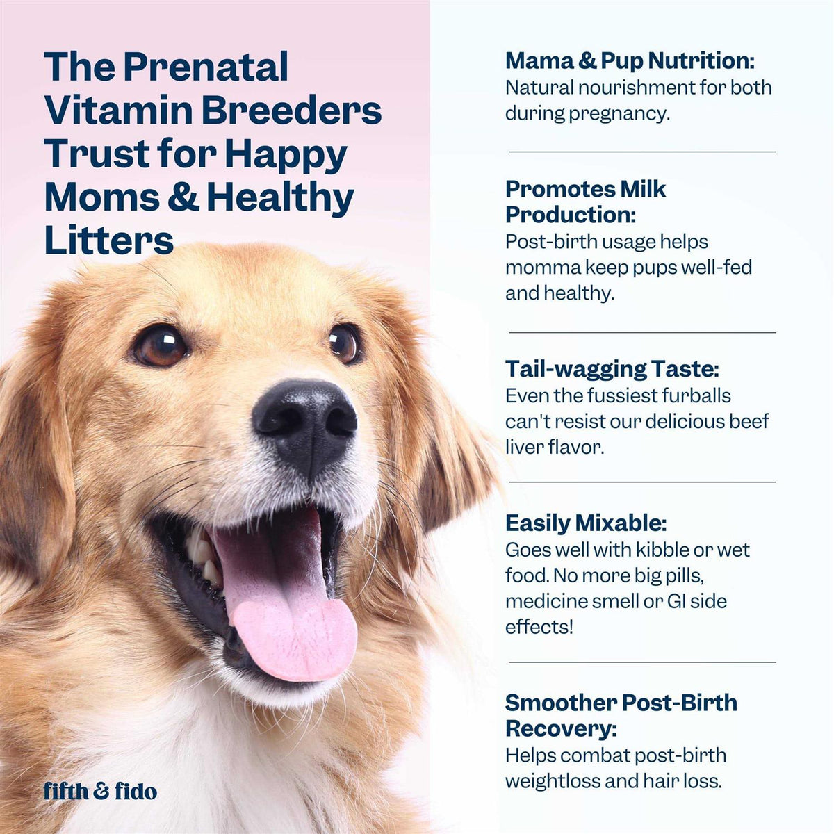 Dog Prenatal Vitamins with Iron, D3 and Folic Acid T3113