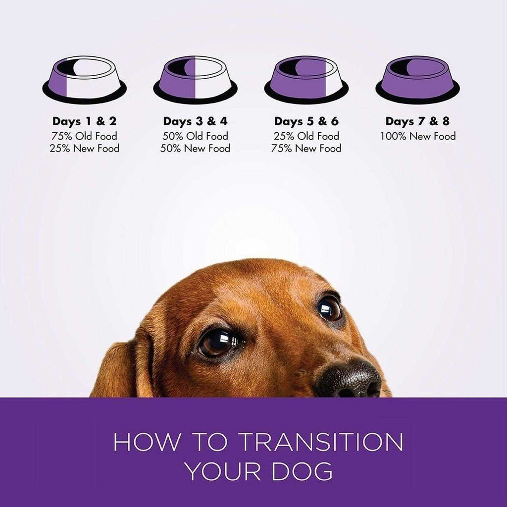 Small Breed Dog Food W8927
