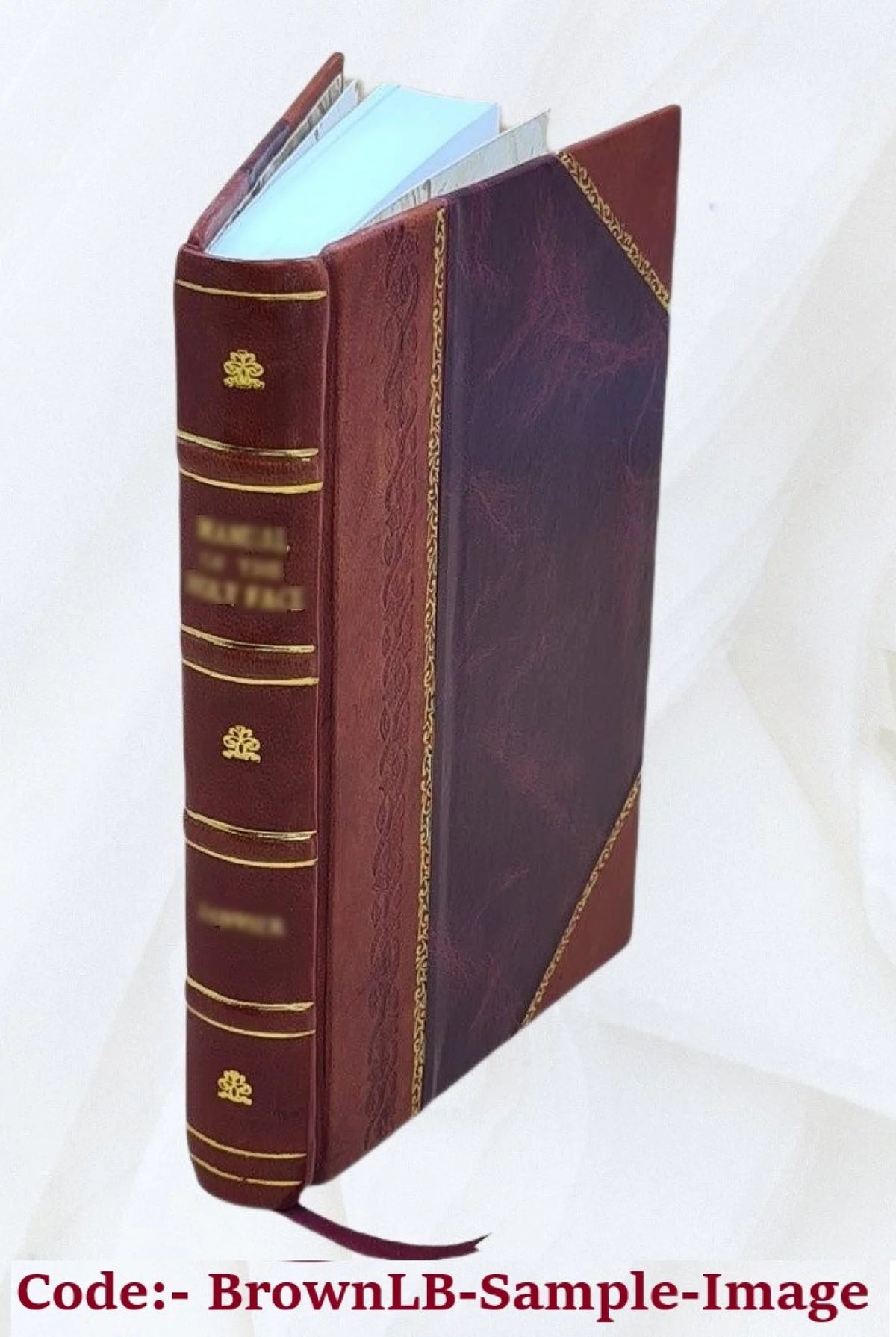Leather Bound B580