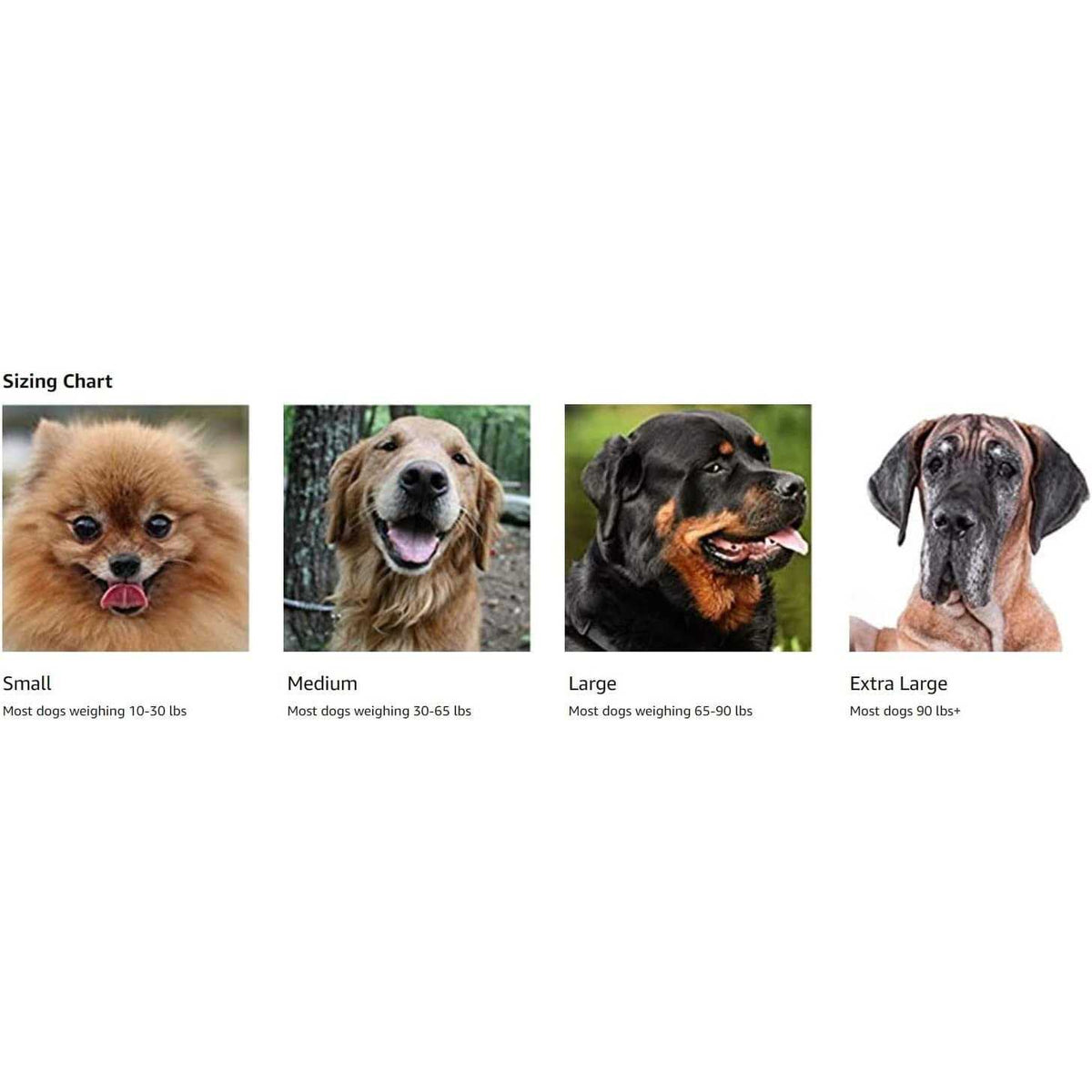 Canine Shoulder Elbow Brace S8620
