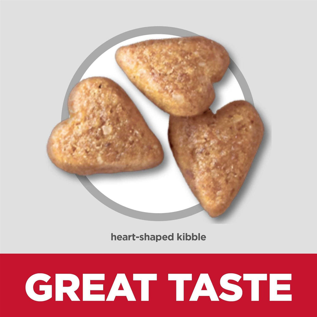 Chicken Recipe Dry Dog Food O845