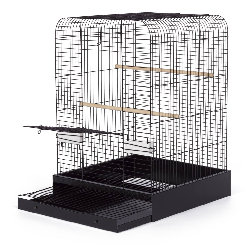 Black Bird Cage U331179