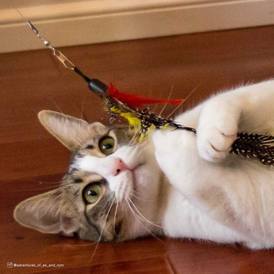 Telescoping Cat Toy E83803