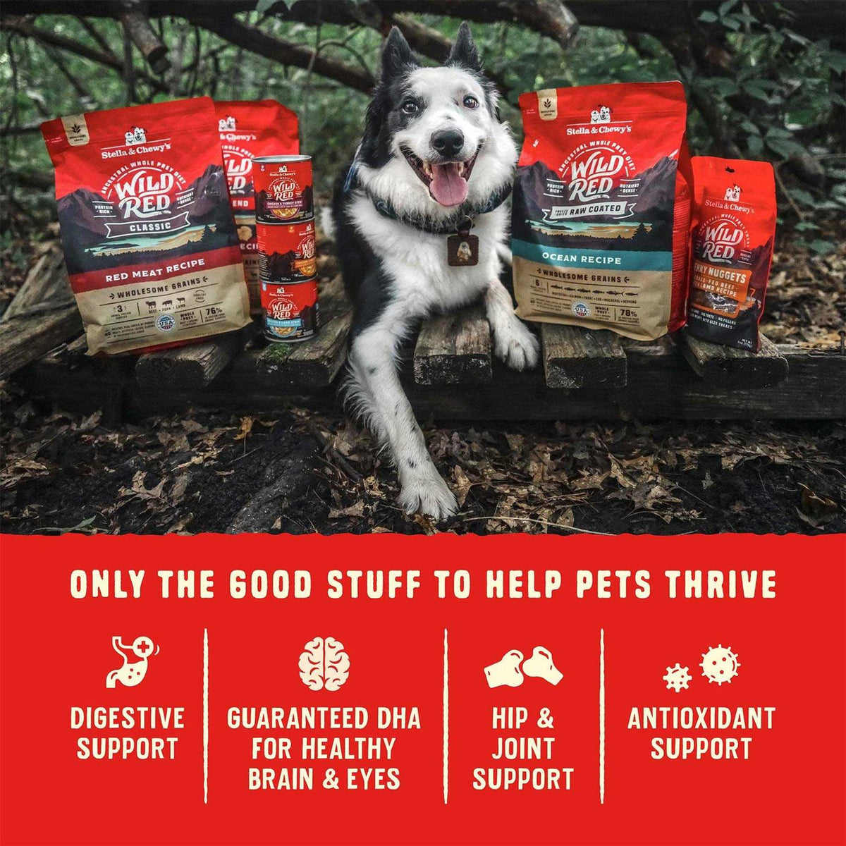 Grain Free High Protein Dry Dog Food F358