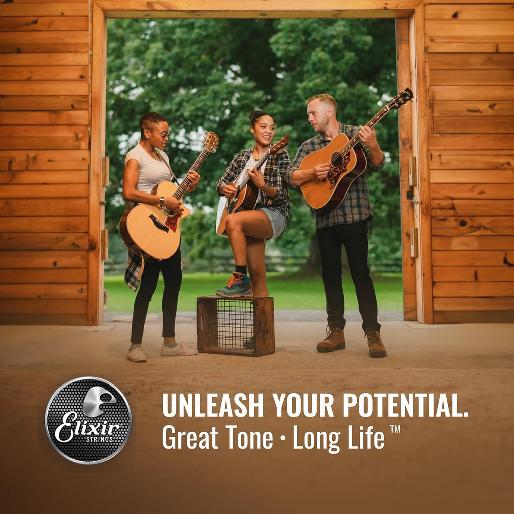 Acoustic Guitar Strings, 80/20 Bronze with POLYWEB Coating, 6 String Set, Custom Light 11-52 L27340