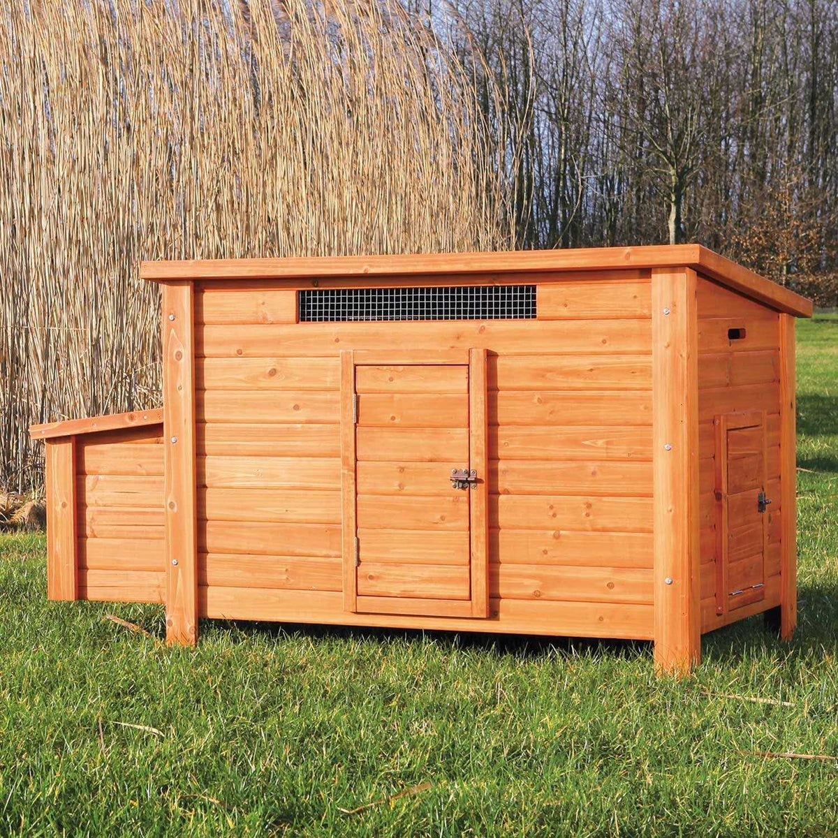 Chicken Coop H73464