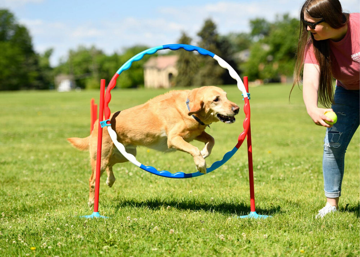 Family Agility Set C17406