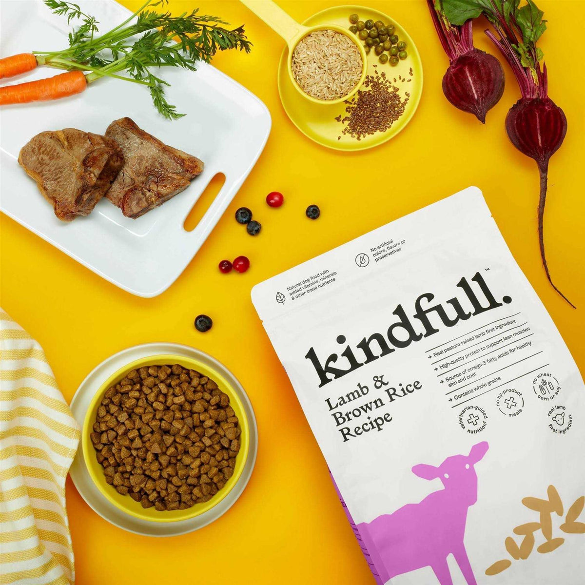 Lamb & Brown Rice Recipe Dry Dog Food Z5856
