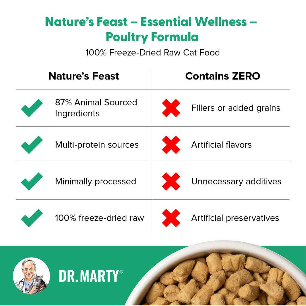 Poultry Freeze Dried Raw Cat Food Y357698