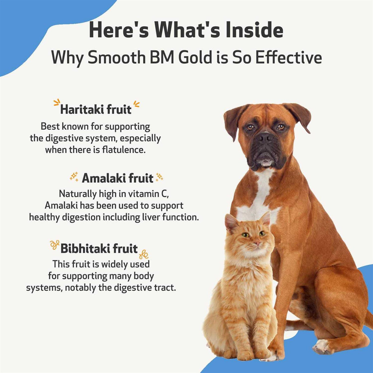 Smooth BM Gold Pet Supplies E588269