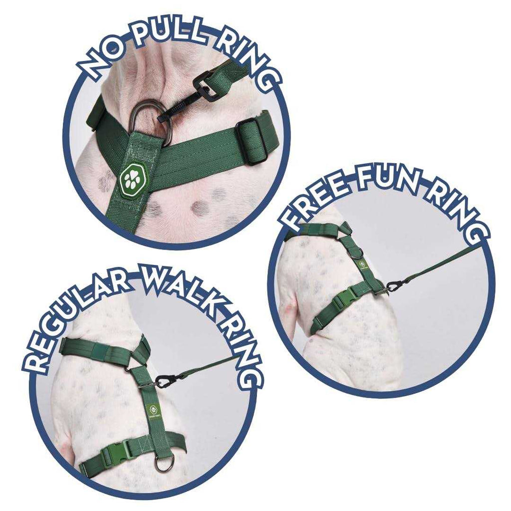 No-Pull Dog Harness G6252