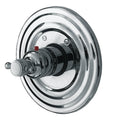 Satin Brass Thermostatic Trim Plate with Handle J564