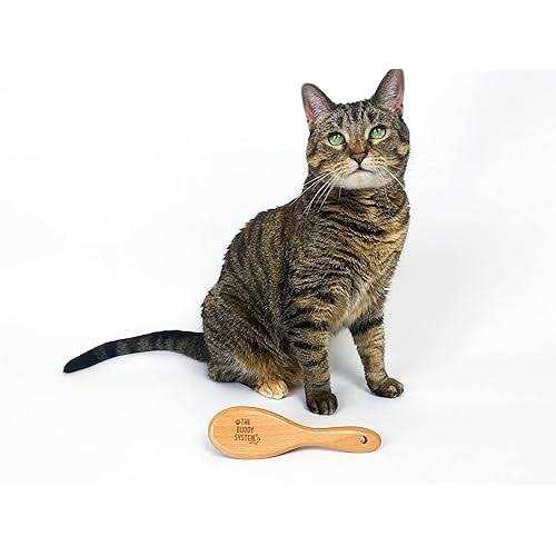 Boar Bristle Wooden Handle Cat Brush Z4994