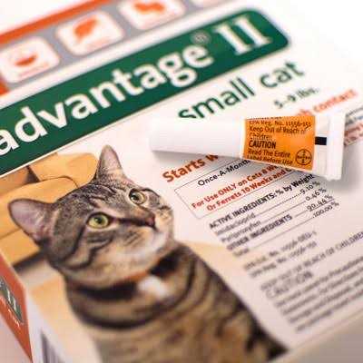 Advantage II for Cats A556622