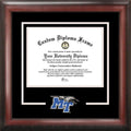 11 x 14 in. Satin Mahogany Diploma Frame F820