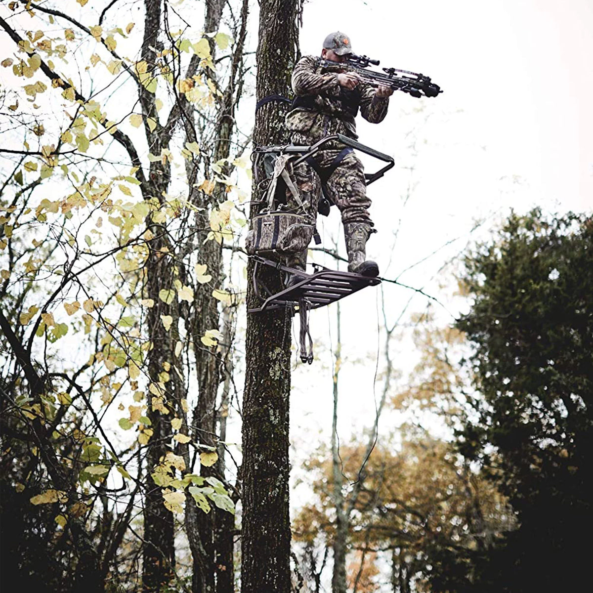 Whitetail 410 Crossbow Kit with 2 Arrows N228203