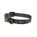 Hank Collar D1573