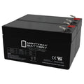 12V 1.3Ah Battery 2 Pack M841