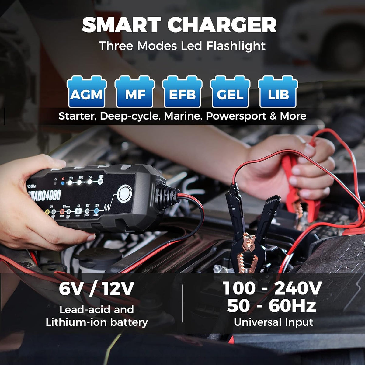 4 Amp 6V/12V Smart Battery Charger Maintainer Desulfator Pack of 2 B1380