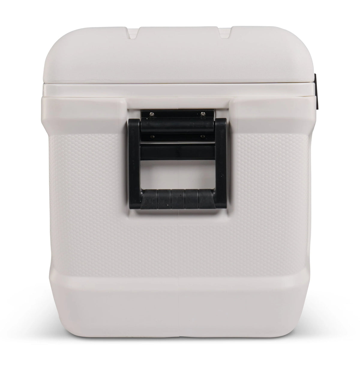 150 QT White Hard Side Cooler W5762
