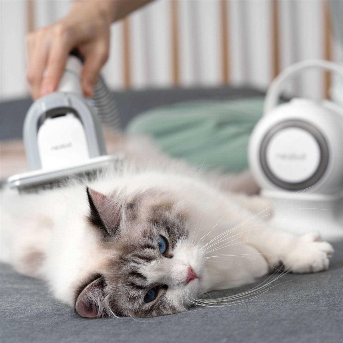 Pet Grooming Kit & Vacuum X5676