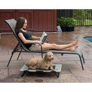 Elevated Pet Cot S675