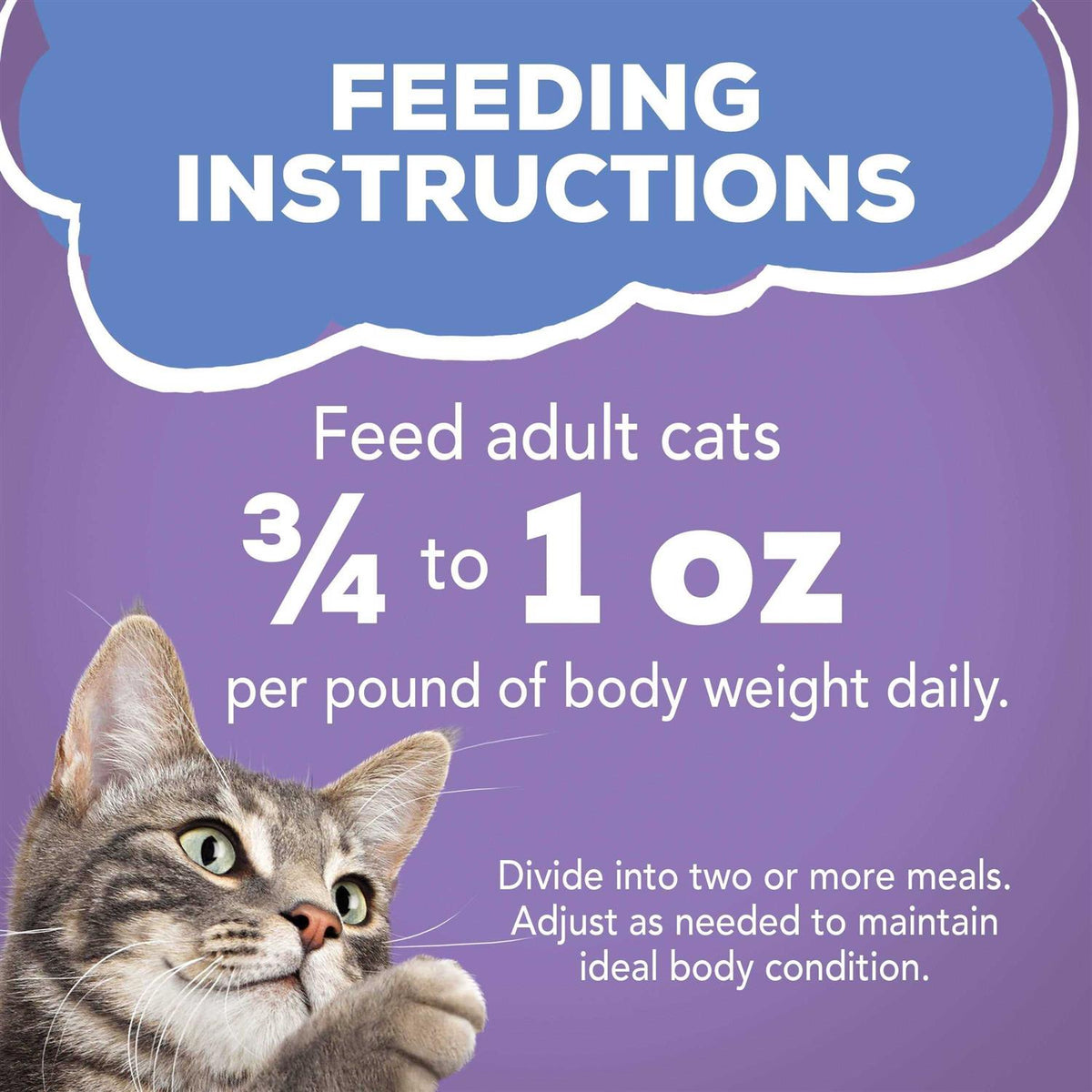 Turkey & Cheese Wet Cat Food F775
