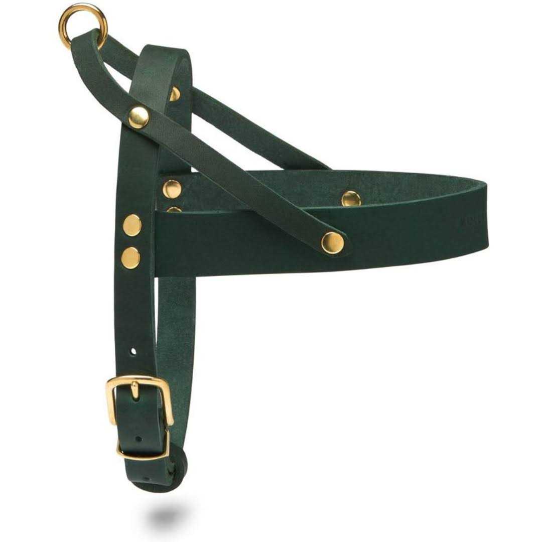 Leather Dog Harness P9725