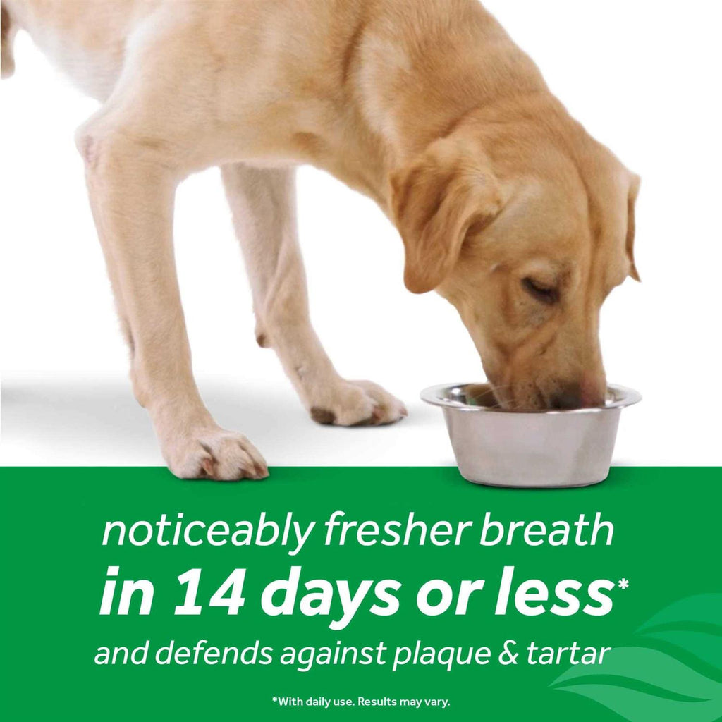 Dog Oral Care Water Additive J427