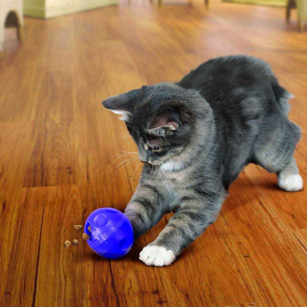 Cat Treat Ball Z306831