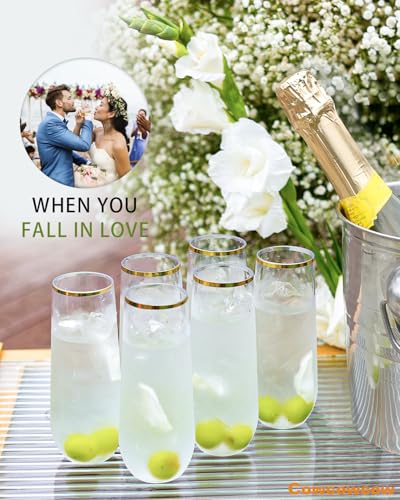 24 Pcak 9 Oz Plastic Champagne Flutes V93327