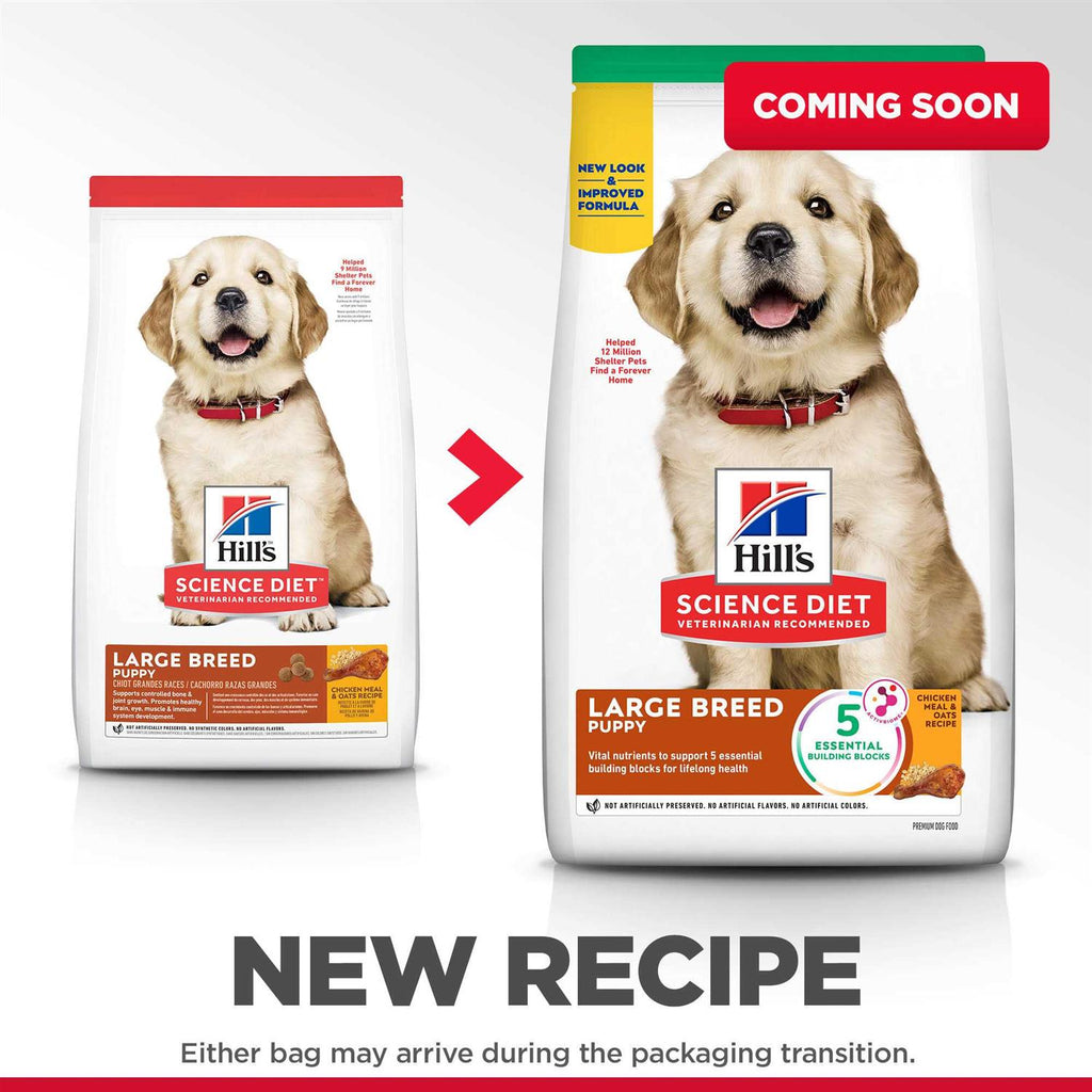 Dry Dog Food A3605