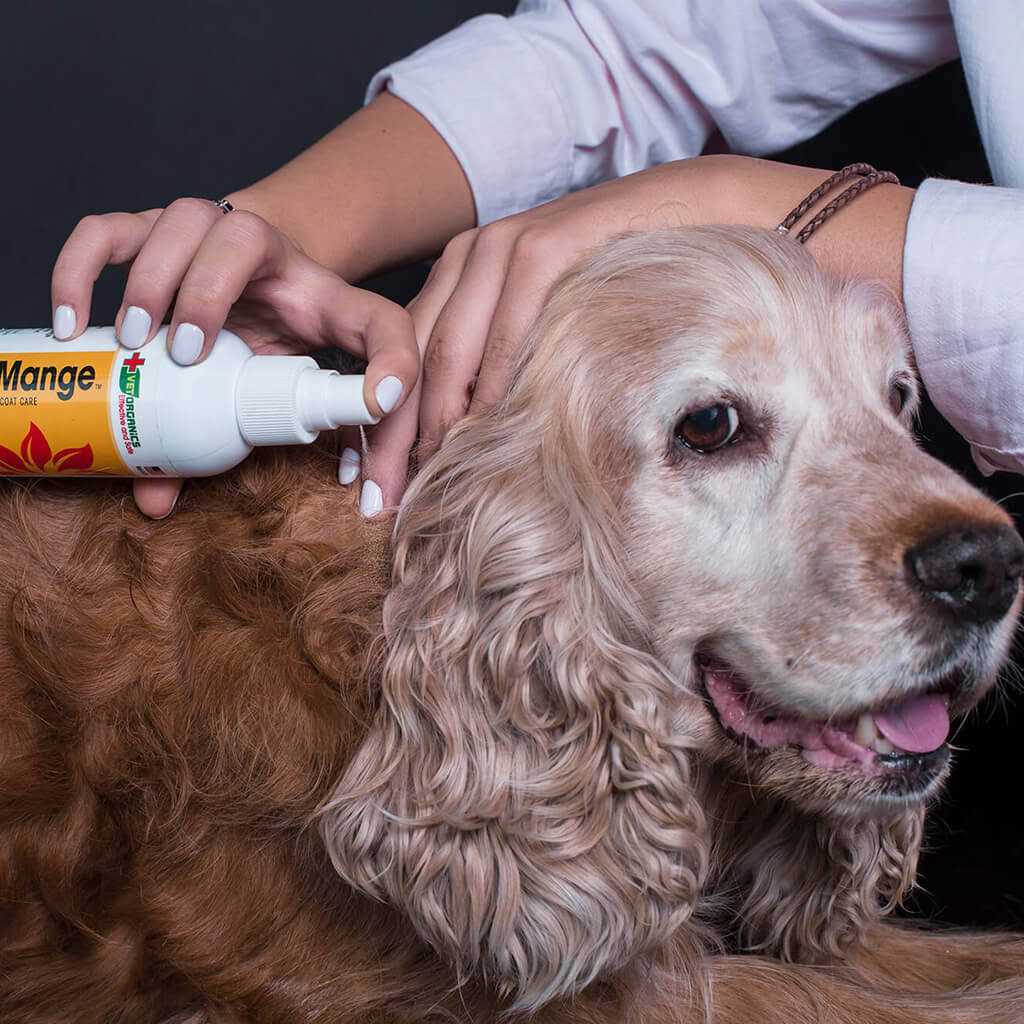 Dog & Cat Mange Skin Treatment Y153216