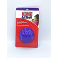 Cat Treat Ball Z306831