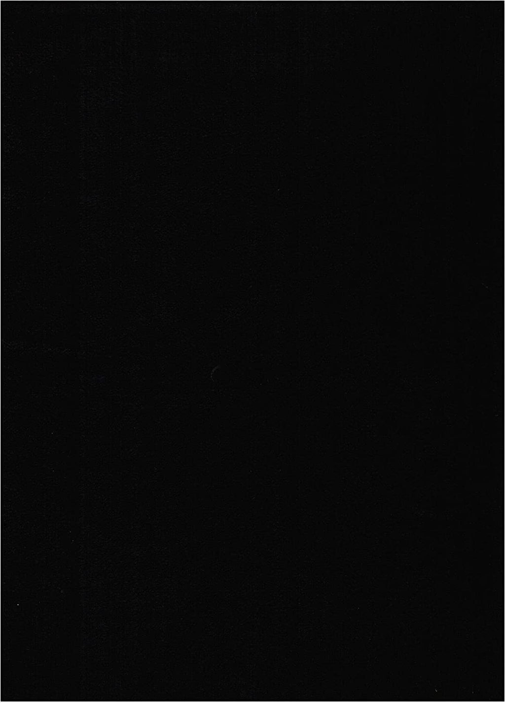 Black Suede Fabric Futon Mattress C439906