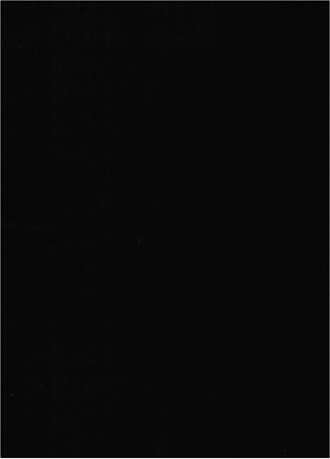 Black Suede Fabric Futon Mattress C439906