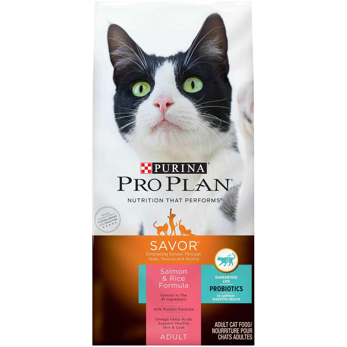 Salmon & Rice Formula Dry Cat Food H3679