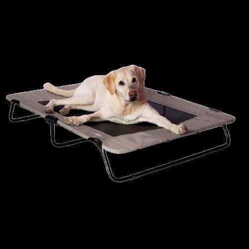 Elevated Pet Cot S675
