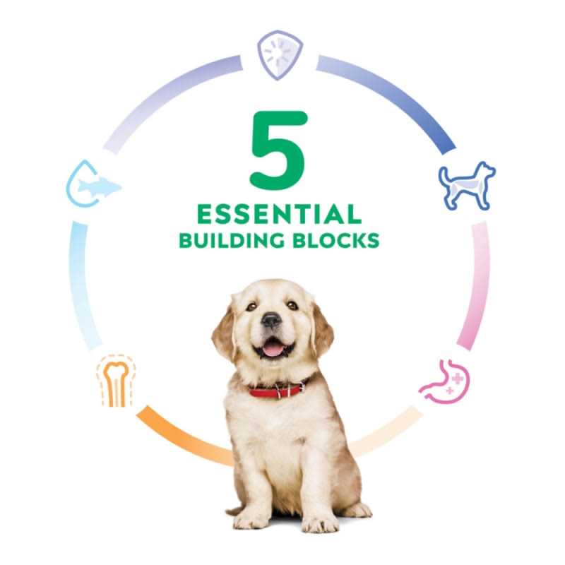 Dry Dog Food A3605