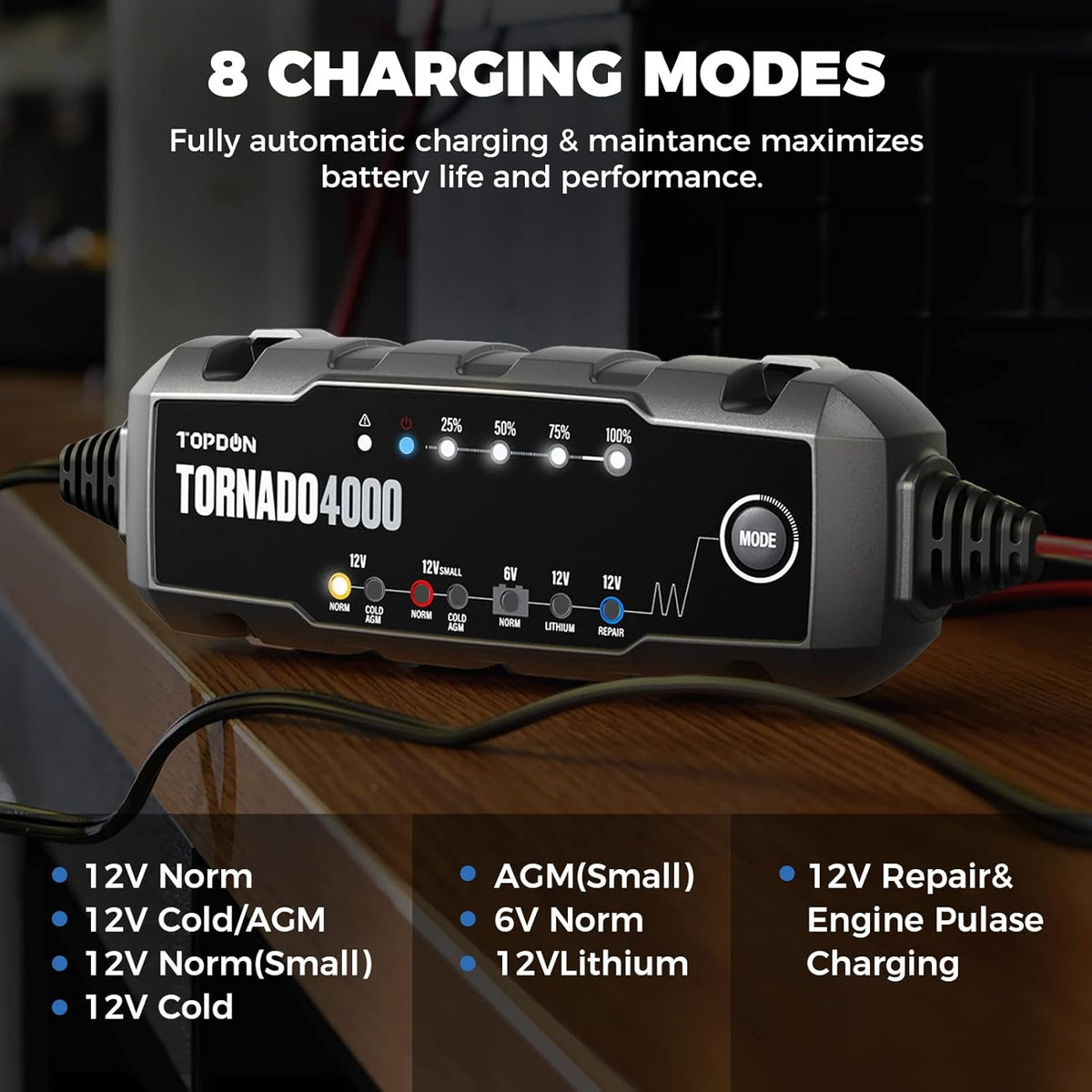 4 Amp 6V/12V Smart Battery Charger Maintainer Desulfator Pack of 2 B1380