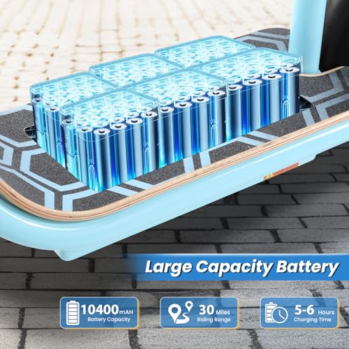 500W/800W/1200W Electric Scooter with Seat C48203